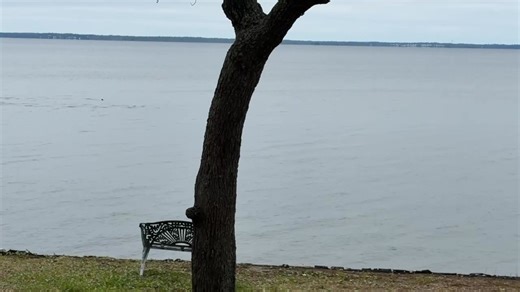 Neil Wright on Reels