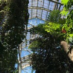 Michigan Butterfly Houses