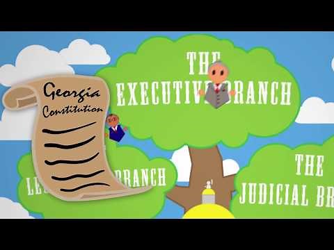 What Does the Executive Branch Do?