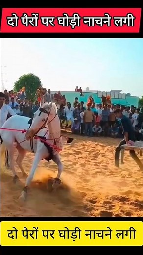 main nagin nagin dance nachna