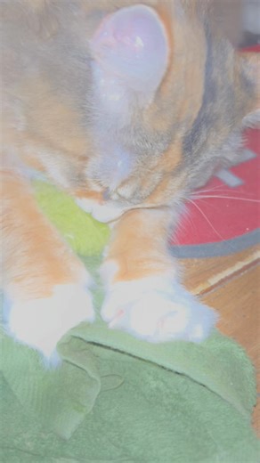 Time for No.5’s morning workout routine. Brought to you by Swamp Dweller art . | Robert 'Doc' Watson