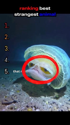 Ranking Creatures That Defy Evolution 🤯 #animals #shorts #wildlife