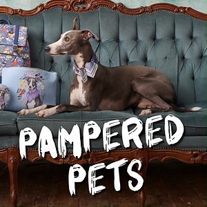 3.4K views | In The Irish Times this weekend: Pet privileging might seem like a nice idea but are we just breeding unhappy pets? Subscribe now to read The Irish Times exactly as it appears in print on ePaper. | The Irish Times | Facebook