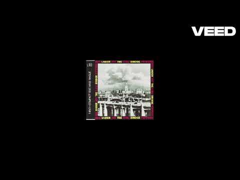 RHCP - Under The Bridge (vocals cover)