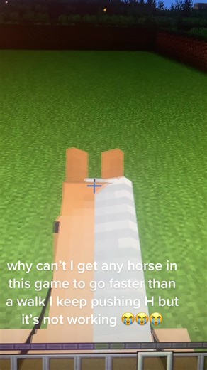 Urgent Help Needed for Star Worm Equestrian Walk - How to Upgrade Horses