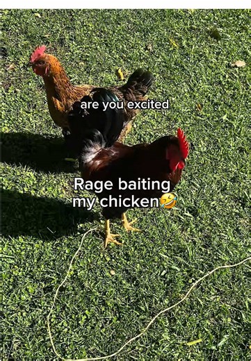 Self Entertainment at Home