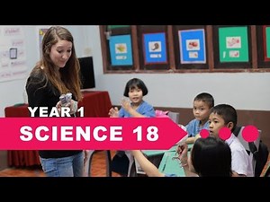 Year 1 Science, Lesson 18, Animals Part 2