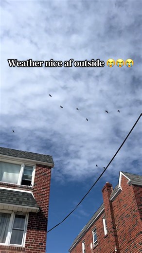 I was tryna be cute then was interrupted by a SIGN. Summer is coming ! #beach #seagulls #beachweather #sky #summer
