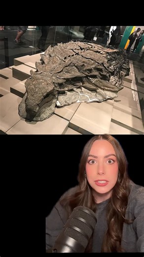 Astro Alexandra on Instagram: "Giant marine animals lived in the middle of North America for millions of years… #earth #science #stem #nasa"