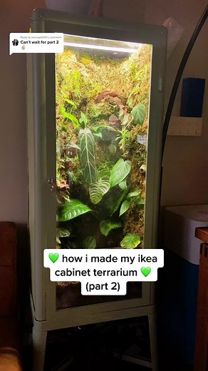 How to Make an Ikea Cabinet Terrarium: Part 2 Tutorial