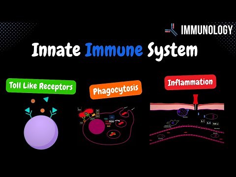 Innate Immune System (Toll Like Receptors, Phagocytosis & inflammation ) - Immunology