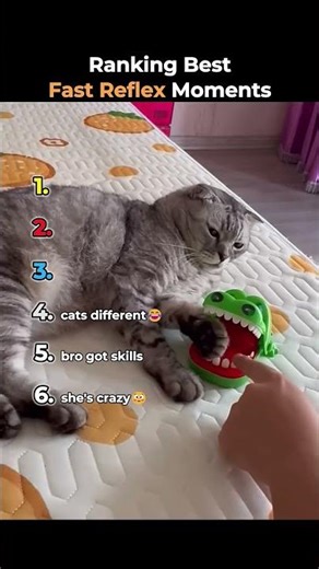 Ranking the Best Fast Reflex Moments! ⚡😳#FastReflexes #QuickReactions #EpicMoments #Shorts