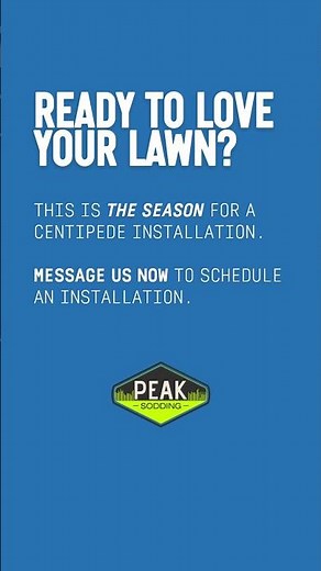 Centipede Grass | The Low Maintenance Lawn NC Homeowners Love
