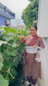 2.5M views · 16K reactions | Part-1 10 किलो सब्जी की harvesting  #minivlog #shortsreels | South Pearl Organic Garden | Facebook