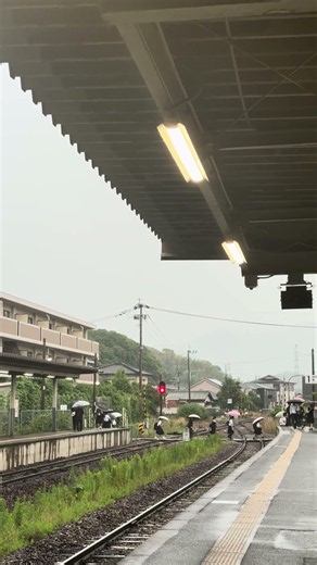 Wait until you hear this unique Japanese sound