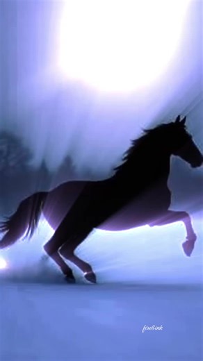 🐴Dzika grzywa 🐴 Moje stopy znają każdą grudę piachu, Nie znam uwięzi, nie czuję strachu. Kiedy biegnę, świat staje się mały, Poddają mi się rzeki i twarde skały. W moich nozdrzach zapach mokrej trawy, W moich mięśniach taniec dziki i żwawy. ​Jestem wolnością, co nie zna granic, Nie oddam pędu za złoto, za nic. Gdy rżeniem budzę śpiące dąbrowy, Czuć w mojej piersi rytm całkiem nowy. Grzywa mi płynie jak rzeka spieniona, W moich kopytach moc niezgłębiona. ​Piłem wodę ze świętego zdroju, Szukałem