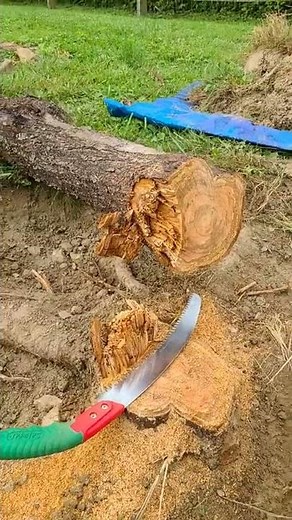 The Best Pruning Saw, EVER!