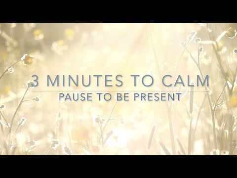 3 Minutes to Calm - A Guided Meditation to find Deep Relaxation and Ease