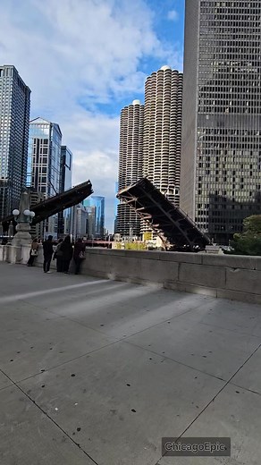 Beautiful Chicago skyline | Chicago Epic