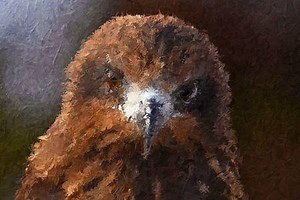 Mixed Portrait Photoshop Action 28318393 - FreePSDvn