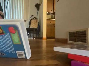 My Barney VHS and DVD Collection (2025 Edition)