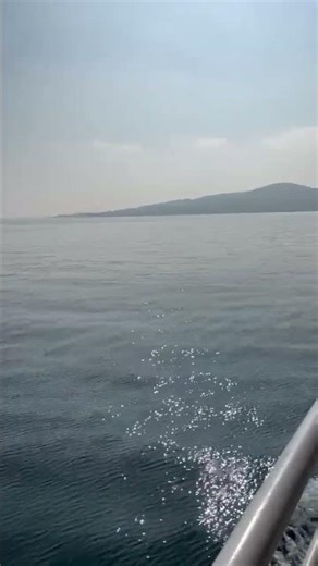 Bosphorus River Ship Trip #travel