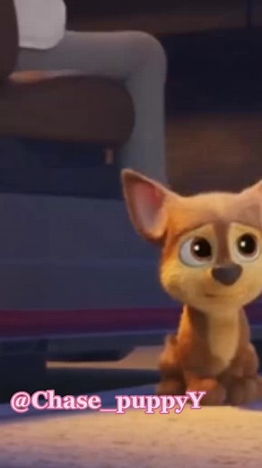 Adventures of a Playful Puppy: A Heartwarming Tale