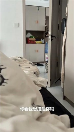 Sunbathing Feline Fun: 😸 Cats in the Sun