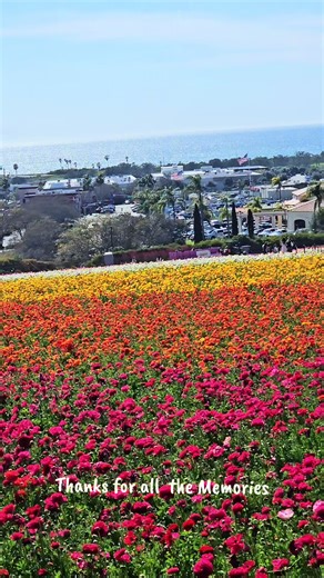 New Year’s Eve is an extraordinary day for me. It’s the day I met my best friend and Love of my life. I never once in a million years would have thought life could be this incredible and I owe it all to you for always loving me, believing in me and doing whatever you always do to make me so happy! Meeting 22 years ago when we were just 22 years old shaping life the way we wanted to with no one to stand in our way! Starting new traditions together and having our beautiful daughter. I’m grateful f