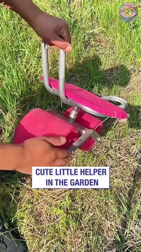 99K views · 159 reactions | Back: Where have you been all my life? | Now I've Seen Everything | Facebook