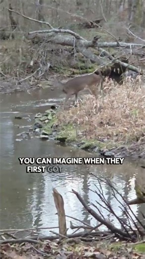 "We Shared Everything." - Oren Lyons Haudenosaunee Faithkeeper