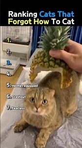 DONT CHECK THE SOUND🙏🙏