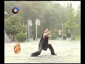 Shaolin Hei Hu Quan (小林黑虎拳) Boxeo del Tigre Negro de Shaolin