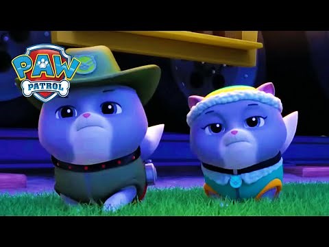 The Kitten Catastrophe Crew! - PAW Patrol Episode - Cartoons for Kids Compilation