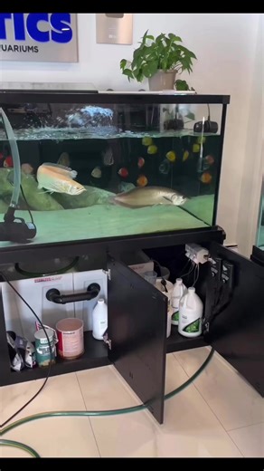 3.5K views · 13 reactions | KaveMan Aquatics Water changing with “Safe” while dropping dessert, a mineral bath with Trace! Both from @seachem_laboratories Seachem Safe works just as great as Prime but it’s very heavily concentrated and recommended for tanks of 100G or bigger only because it’s very easy to overdose in smaller tanks. | Seachem Laboratories, Inc | Facebook