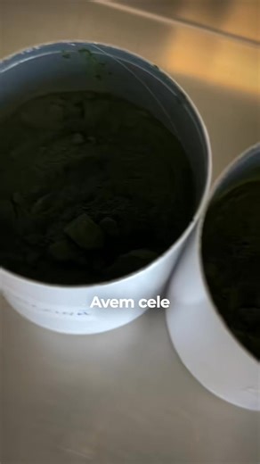 23K views · 54 reactions | Cum a ajutat IN GREEN mii de femei să scape de balonare?  Secretul este formula 100% naturală. Îți arătăm direct din fabrica noastră din Baia Mare fiecare ingredient pentru: ✅ digestie echilibrată ✅ abdomen mai plat ✅ energie constantă  Încearcă și tu IN GREEN dacă vrei să simți diferența. | Rawboost Romania | Facebook