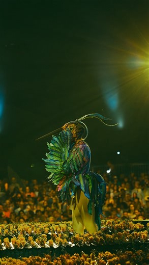 Artist 📍Miami 🇺🇸 | Flying in Miami with @luzia.cirquedusoleil Video by @cirque.art 🎥 | Instagram