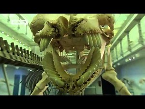 Kiel -- drei Reisetipps | hin & weg