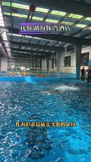 别挤五一，抚仙湖五月才是宝藏！海豚湾酒店康乐全开，599元套餐吃住玩全含，错峰独享静谧湖光。#抚仙湖海豚湾酒店#抚仙湖亲子度假#五月错峰出游#云南周末好去处#玉溪短途旅行