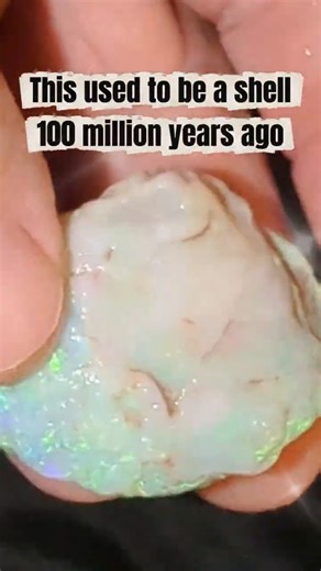 This Was a Shell 100 Million Years Ago… Now It’s Opal #cooberpedy #opalmining