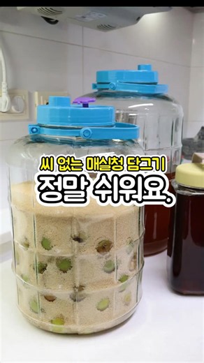 How to Make Seedless Plum Extract and Yellow Plum Extract
