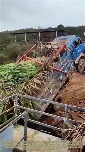 Tipping the Scales: The Physics of an Overloaded Truck