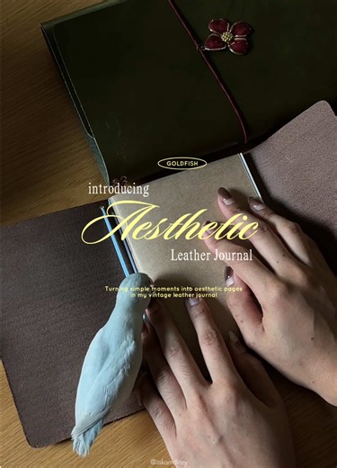 Introducing My New Aesthetic Leather Journal