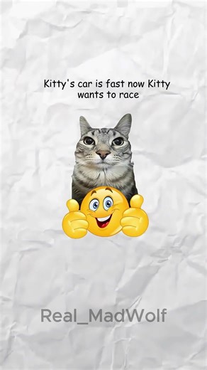 Engine swap explained by cats #carguys #cars #mechanic #cats