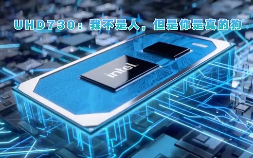 【小鱼家硬件评测室】上吧！UHD730！——简测UHD730在永劫无间下的表现