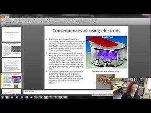 Scanning Electron Microscopy (SEM) Basics