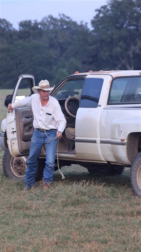 You tell me 😏 | American Western