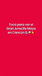 🌊 Adéntrate en las maravillas del Caribe Mexicano: ¡El Gran Arrecife Maya! 🐠✨ Un lugar mágico donde la naturaleza submarina te deja sin aliento. Explora el segundo arrecife más grande del mundo y descubre vibrantes jardines de coral, peces de colores y tortugas marinas. Sumérgete en aguas cristalinas y vive una aventura inolvidable, ya sea buceando, esnorqueleando o simplemente disfrutando de su belleza única. 🐢🌴 ¿Ya conoces este tesoro natural? ¡Cuéntanos tu experiencia favorita en los come