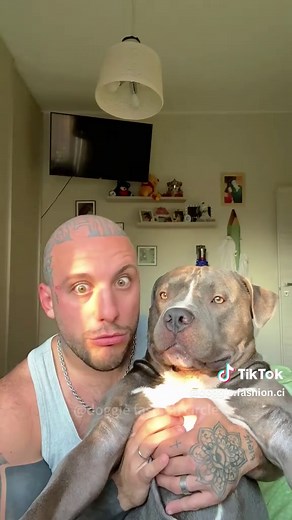 Dogs Imitate Human Actions in Hilarious Ways