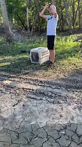 Grey foxes out of here! 💚 | Wild Heart Ranch